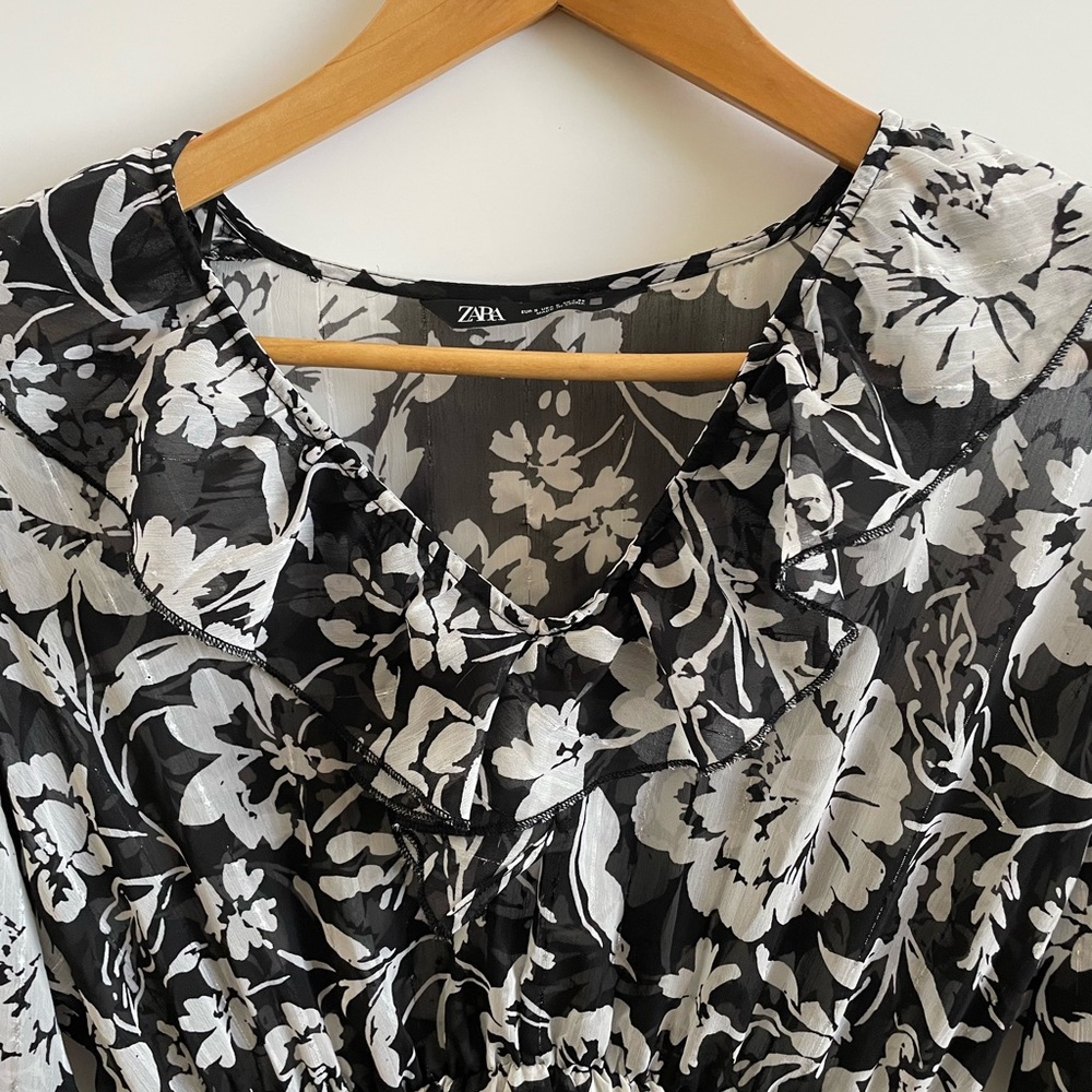 Zara dress - Picture 8 of 9